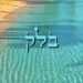 Dracha sur la Parachat Balak