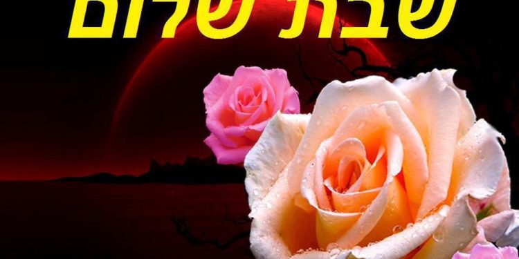 Si par inadvertance une personne a allumé…