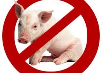 Regarder des images d’animaux impurs