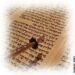Respect des livres de Torah partie 5