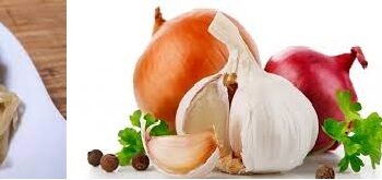 La bénédiction de l’oignon cru, cuit ou frit