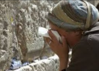 Écoute cette petite vidéo et tu seras comment aider nos frères et sœurs en Israël.