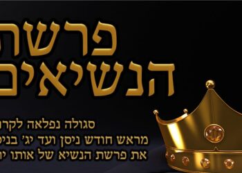 Parachat HaNassi et Tikoun Néchamot