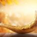 Dix raisons pour lesquelles nous sonnons du Shofar.