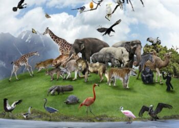 L’importance du Pérek Chira